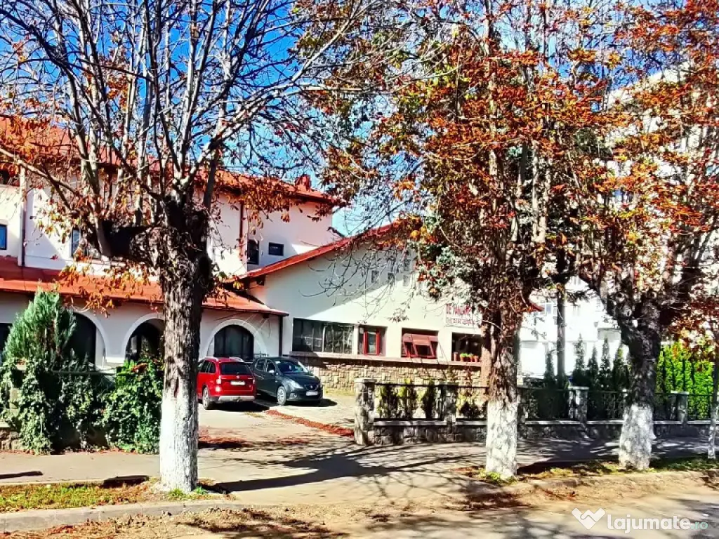 Spatiu comercial ultracentral, Campina, PH, Parc central, Bdul Carol I 