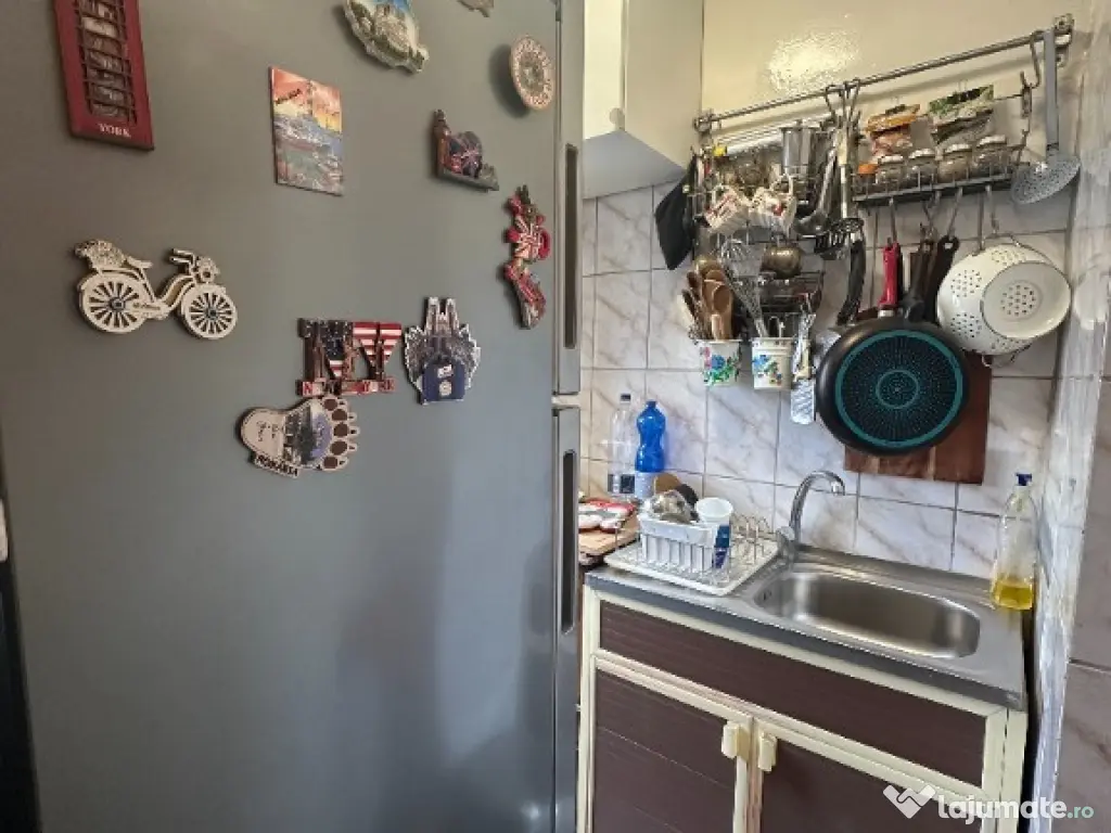 VIGAFON - Garsoniera Malu Rosu 