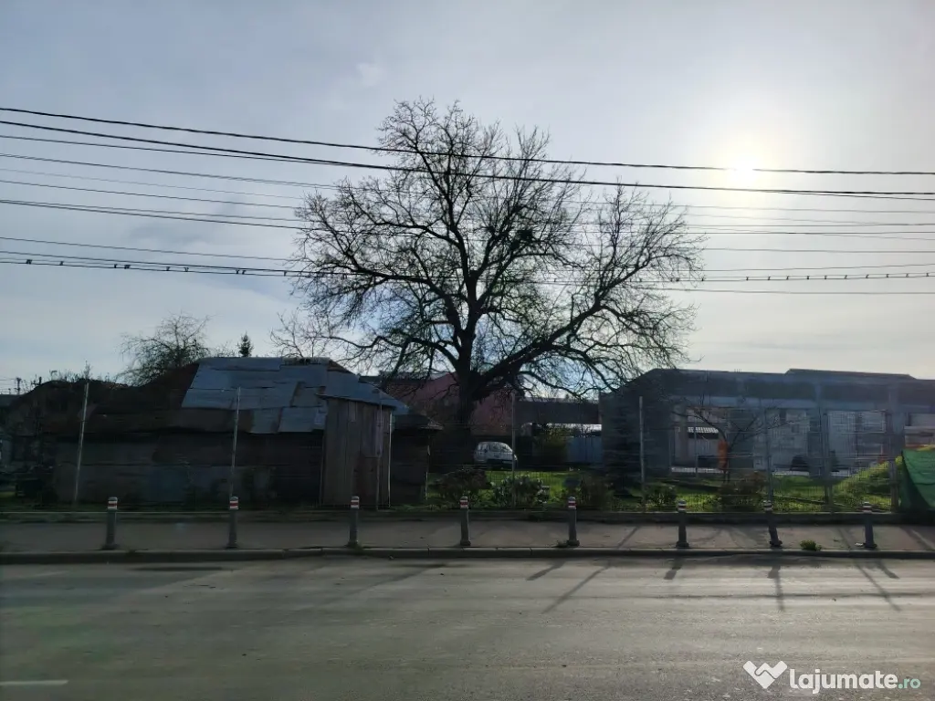 Teren de vânzare 