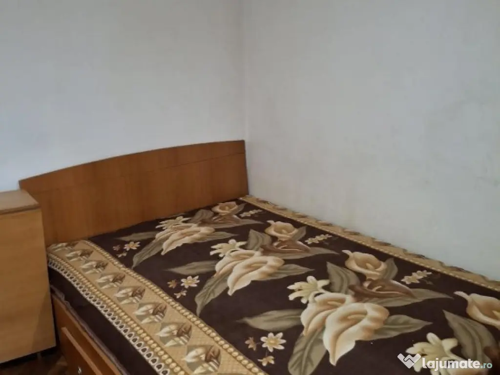 Sat Vacanta, Tomis Nord, de vanzare 2 camere, parter, gaze 