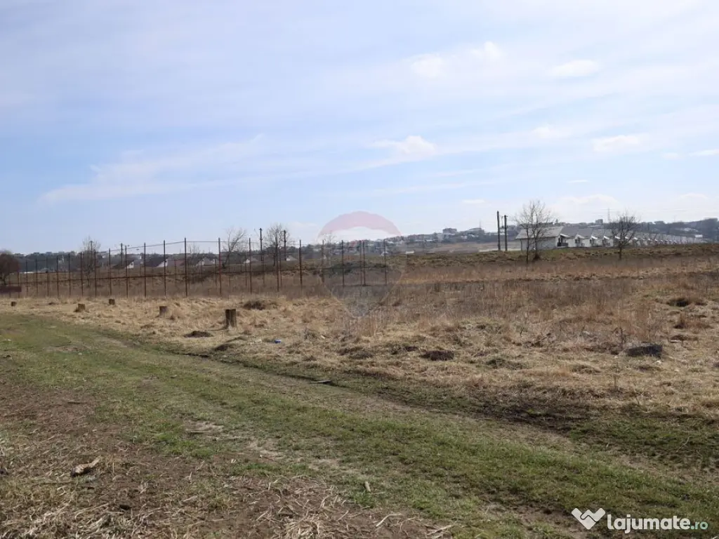 Teren 2,900mp Scheia / Strada Humorului 