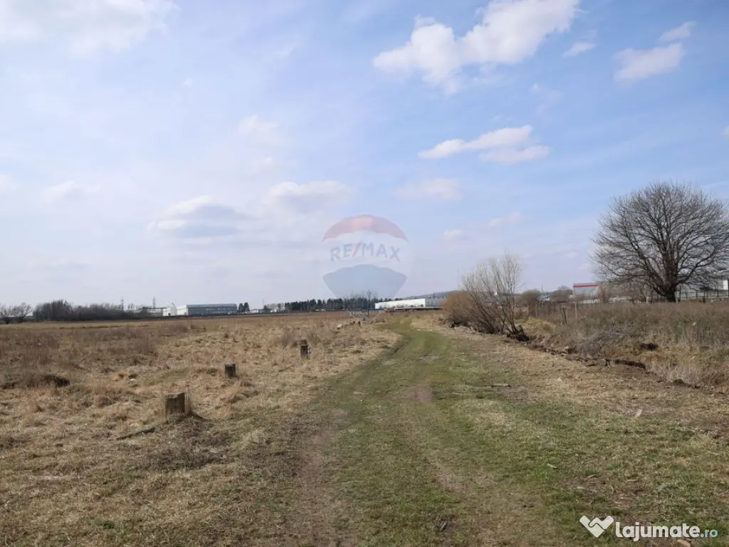 Teren 2,900mp Scheia / Strada Humorului 