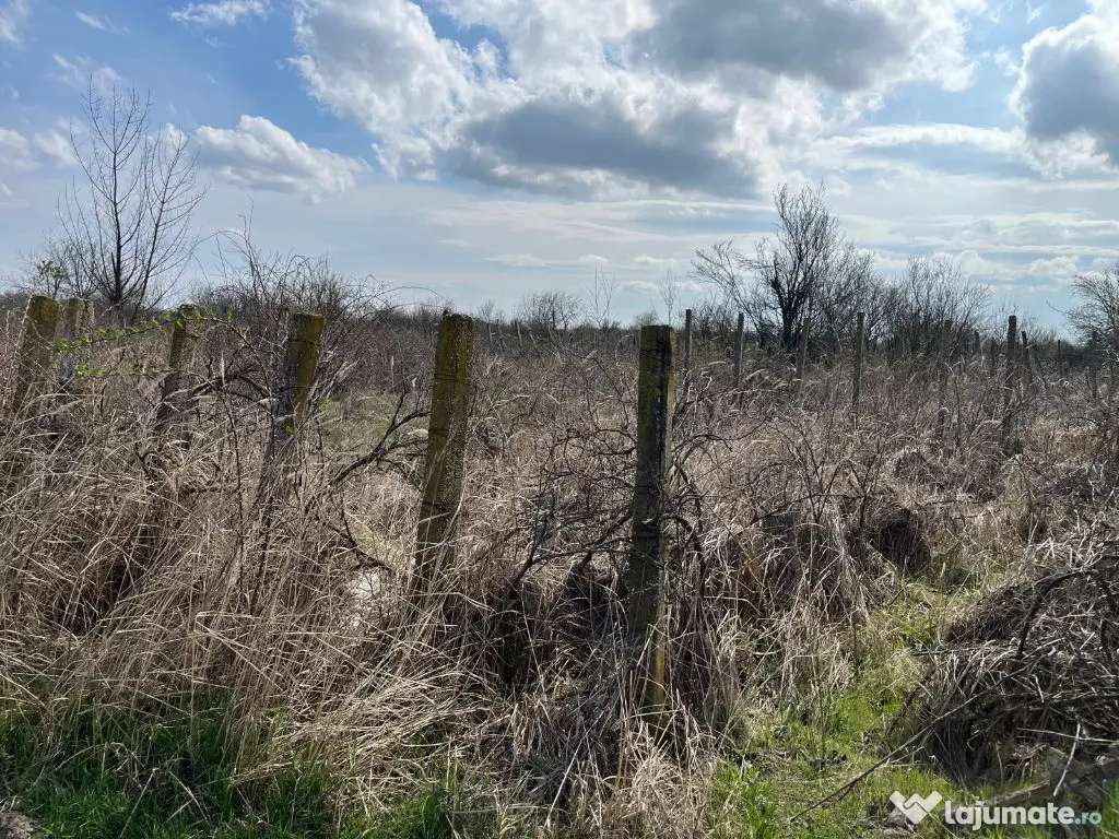 Teren de casa Popesti Leordeni-str. Miorita 503mp 