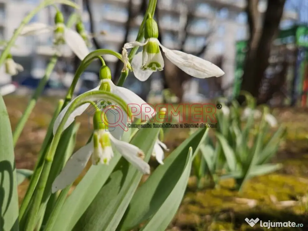 2 camere - bloc boutique - parter - Drumul Jilavei – 