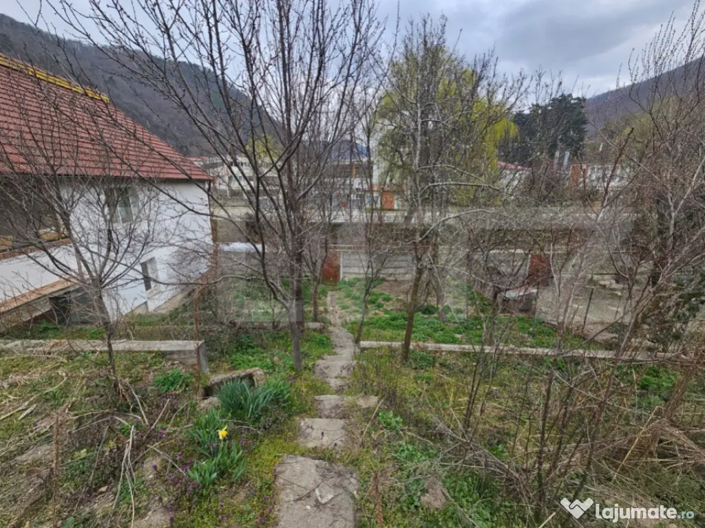 Casă spațioasă cu 4 camere, bucătărie de vară și tere 