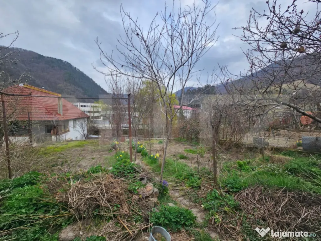 Casă spațioasă cu 4 camere, bucătărie de vară și tere 