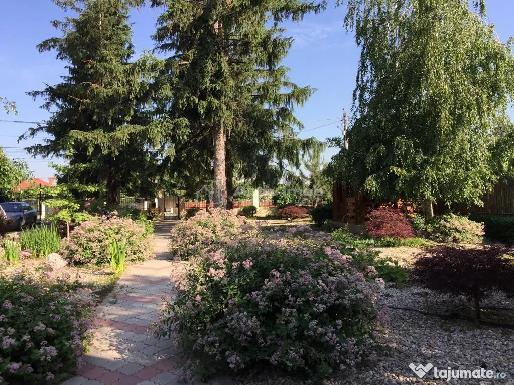 Vila Monumentul Eroilor- Clinceni P 1 