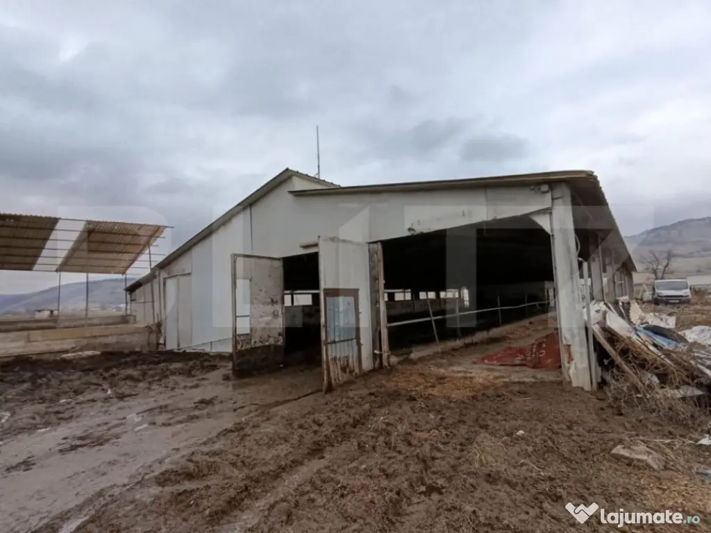 TEREN - GRAJD 6600MP, DEPOZIT, HALA ZONA BLAJ