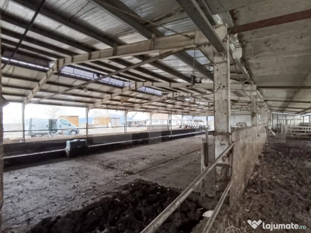 TEREN - GRAJD 6600MP, DEPOZIT, HALA ZONA BLAJ