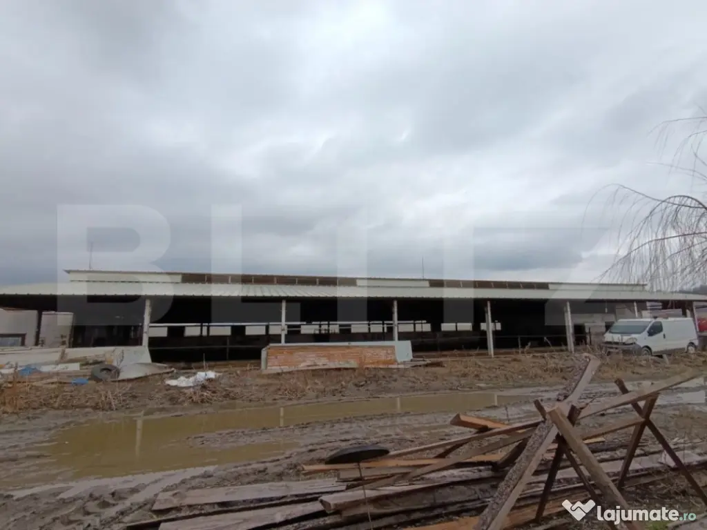 TEREN - GRAJD 6600MP, DEPOZIT, HALA ZONA BLAJ