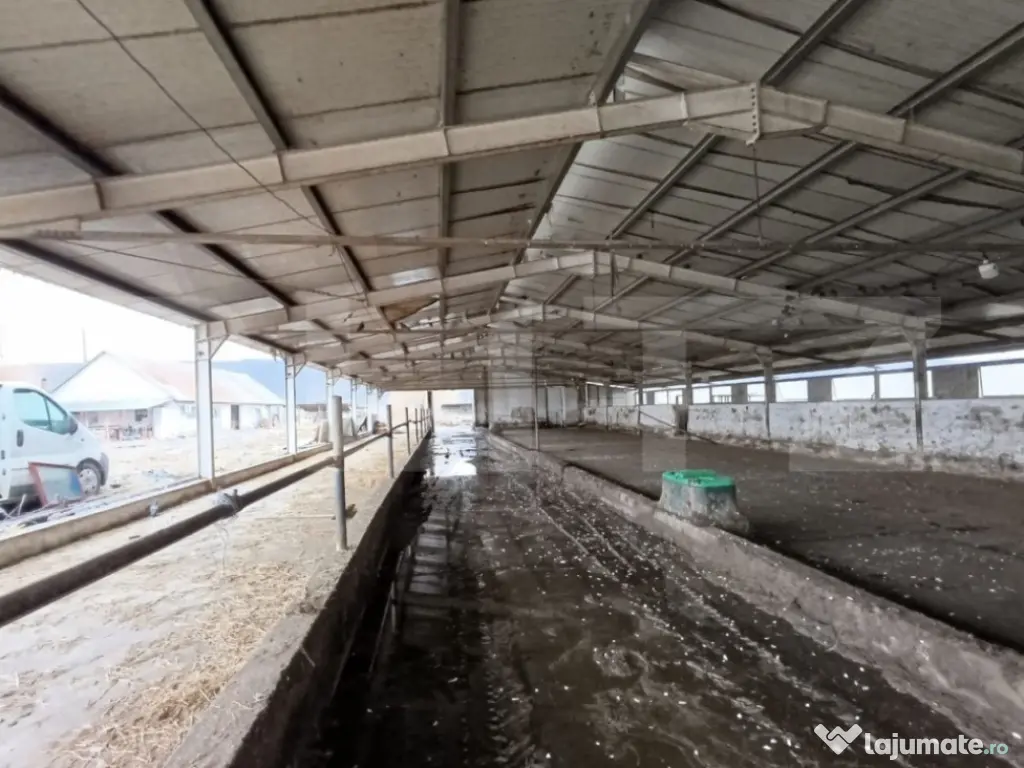 TEREN - GRAJD 6600MP, DEPOZIT, HALA ZONA BLAJ