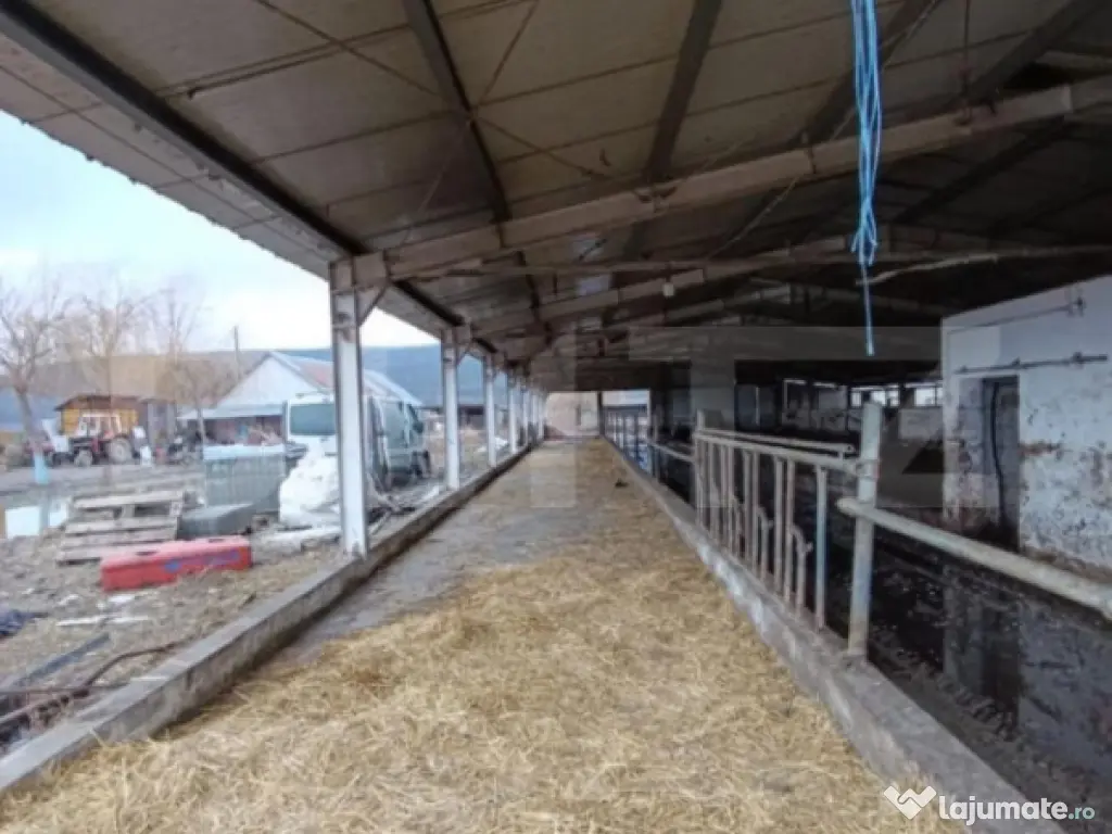 TEREN - GRAJD 6600MP, DEPOZIT, HALA ZONA BLAJ