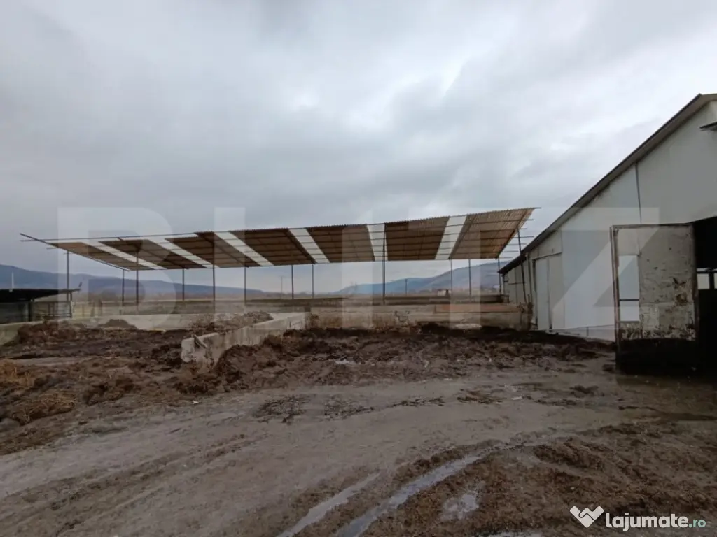 TEREN - GRAJD 6600MP, DEPOZIT, HALA ZONA BLAJ