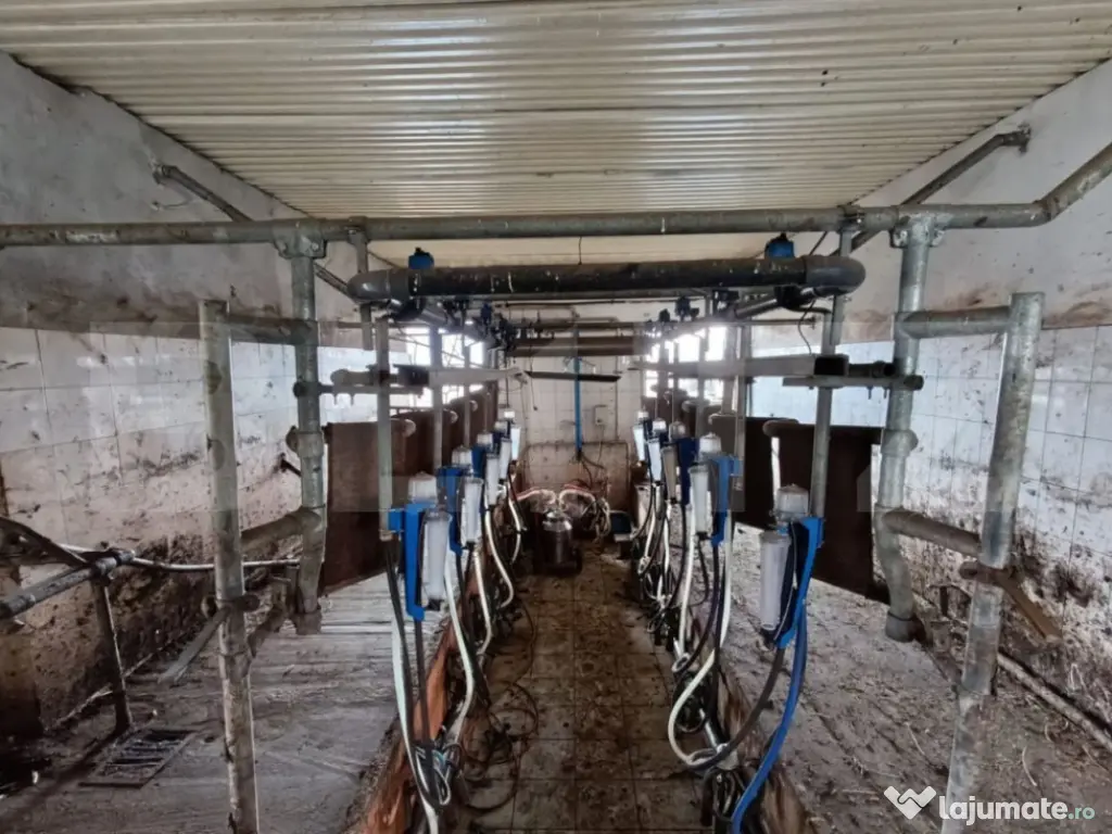 TEREN - GRAJD 6600MP, DEPOZIT, HALA ZONA BLAJ