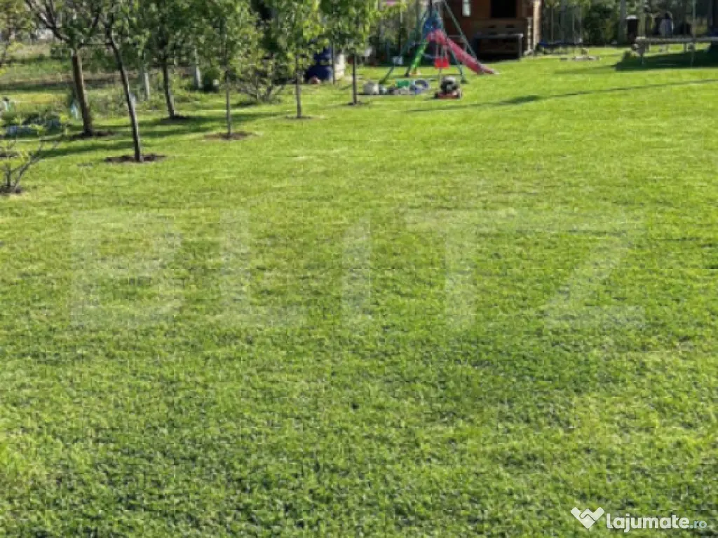 Teren intravilan 595 mp cu cabană și pomi fructiferi, Ampo 