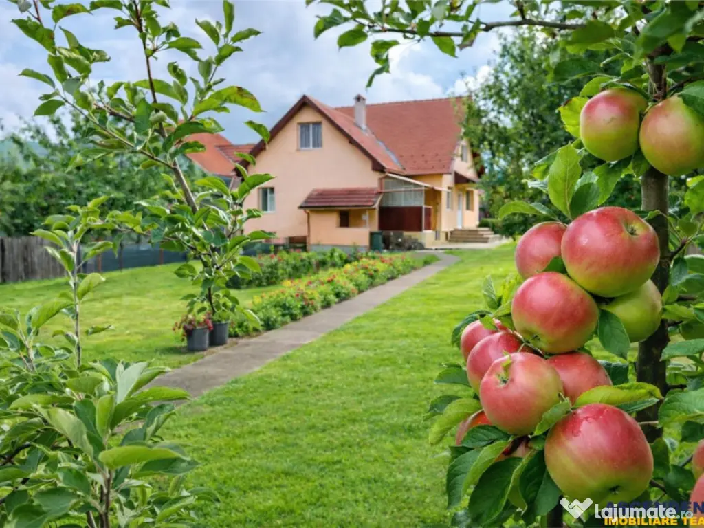 3D! Resedinta notabila,armonios cadru natural,faciliati,Cent 