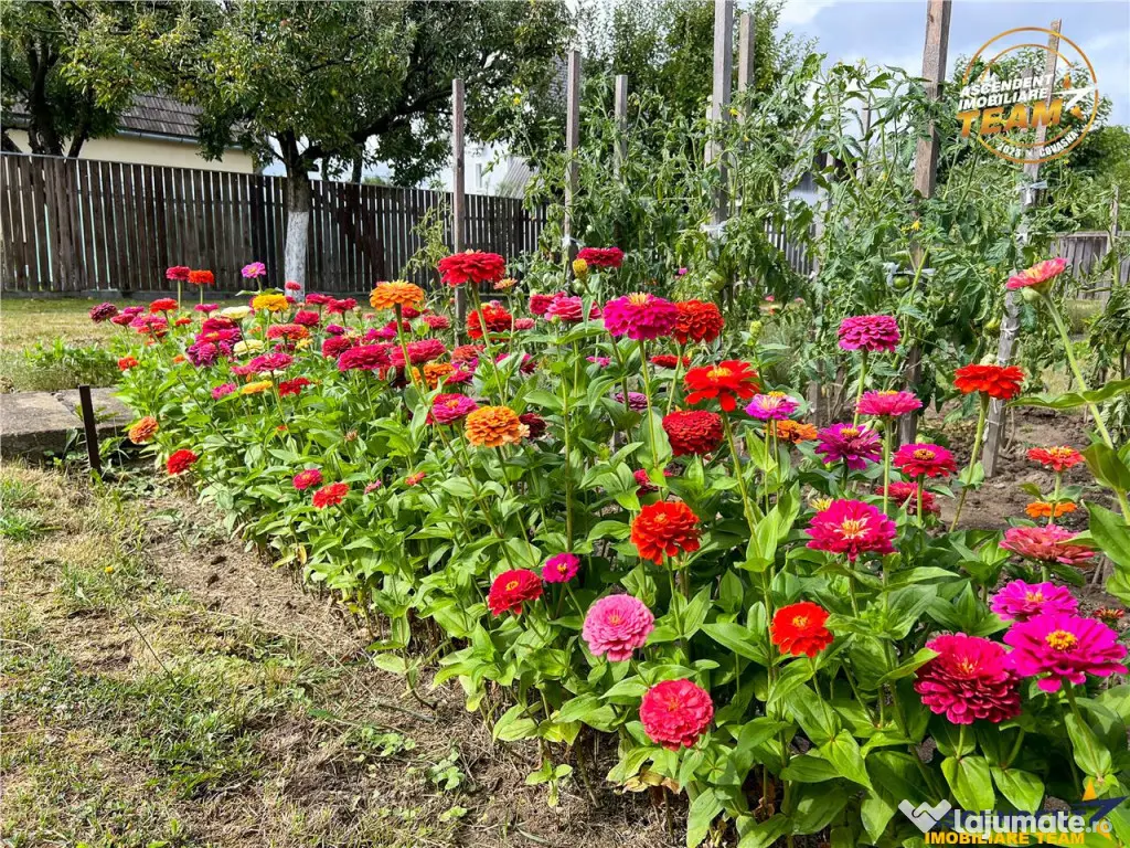 3D! Resedinta notabila,armonios cadru natural,faciliati,Cent 