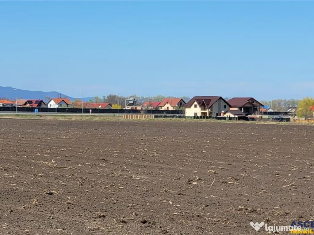 50.000mp teren intravilan, Clasa Master, in Brasov spre Stu 