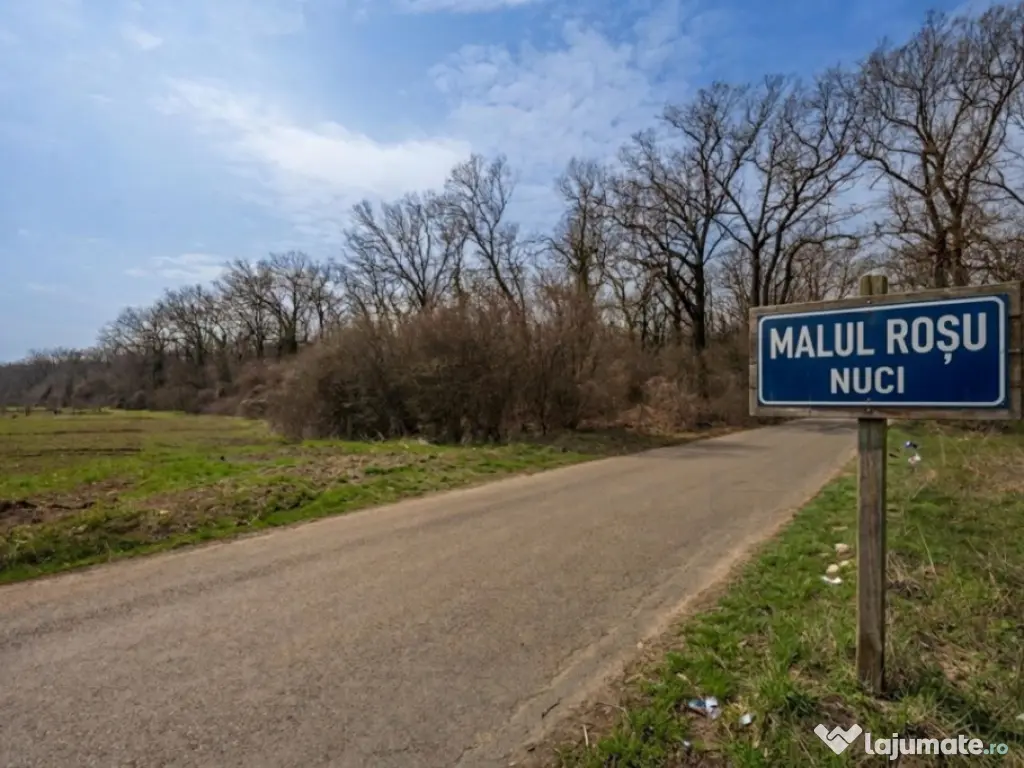 NUCI - BALTA NEAGRA, LOT 3080 MP, LA PADURE! 