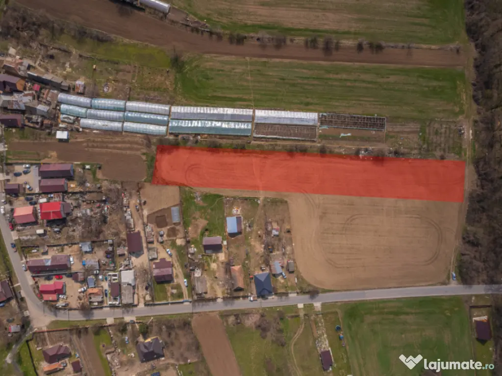 NUCI - BALTA NEAGRA, LOT 3080 MP, LA PADURE! 