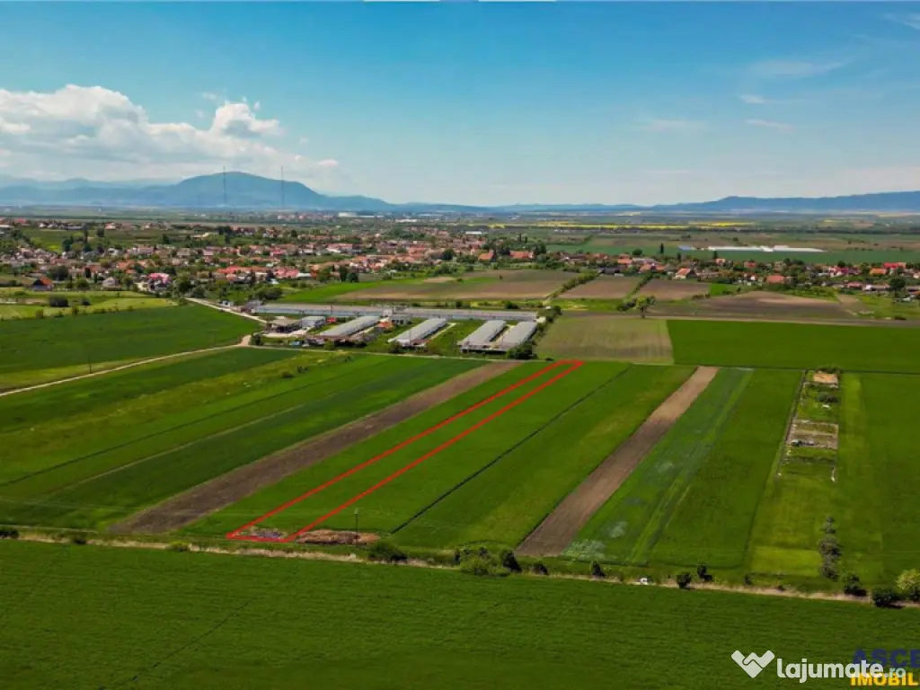 FILM! Teren extravilan 5.000 mp in zona linistita cu acces f 