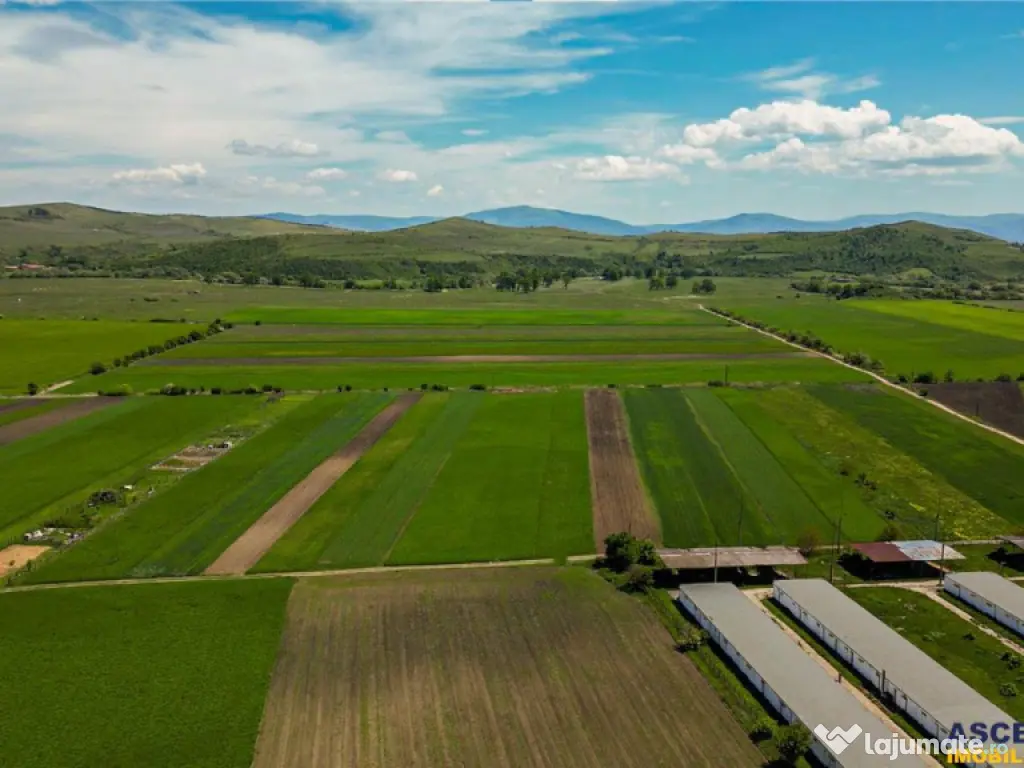 FILM! Teren extravilan 5.000 mp in zona linistita cu acces f 