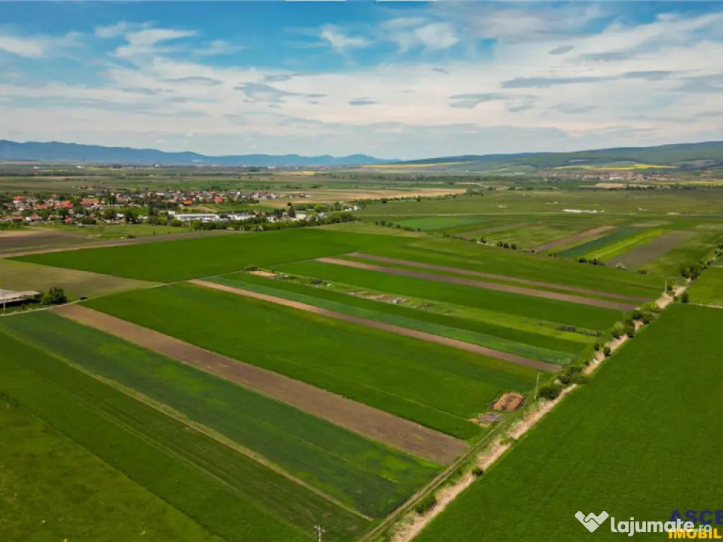 FILM! Teren extravilan 5.000 mp in zona linistita cu acces f 