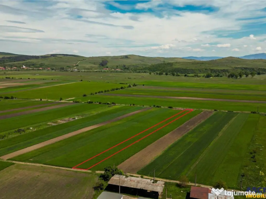 FILM! Teren extravilan 5.000 mp in zona linistita cu acces f 