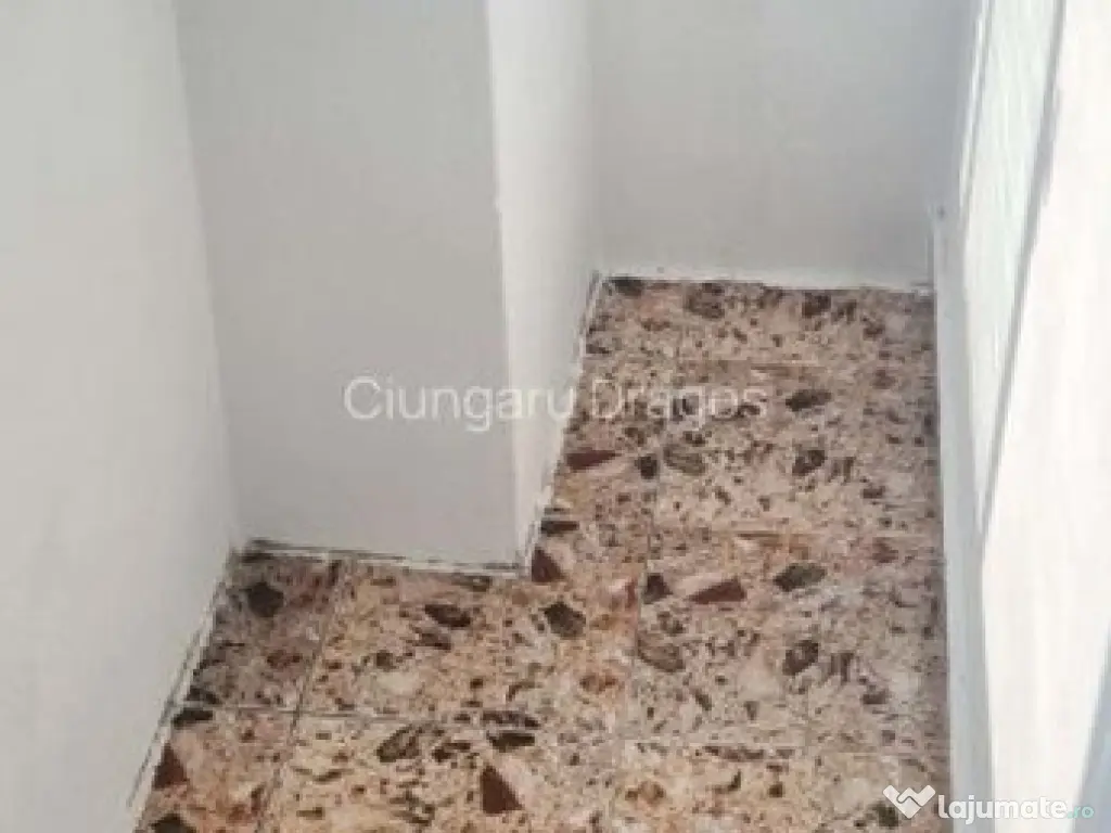 Nerva traian vlad dracul timpuri noi 