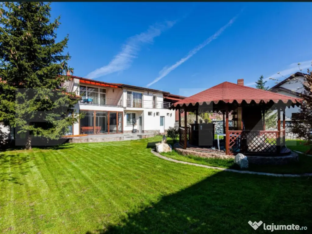 Vilă luxoasă pentru multiple activități, Zona Dumbravita