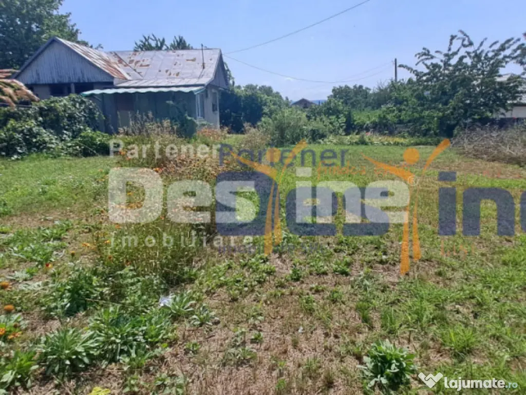 TEREN INTRAVILAN 1680 MP , MIROSLAVA CENTRU