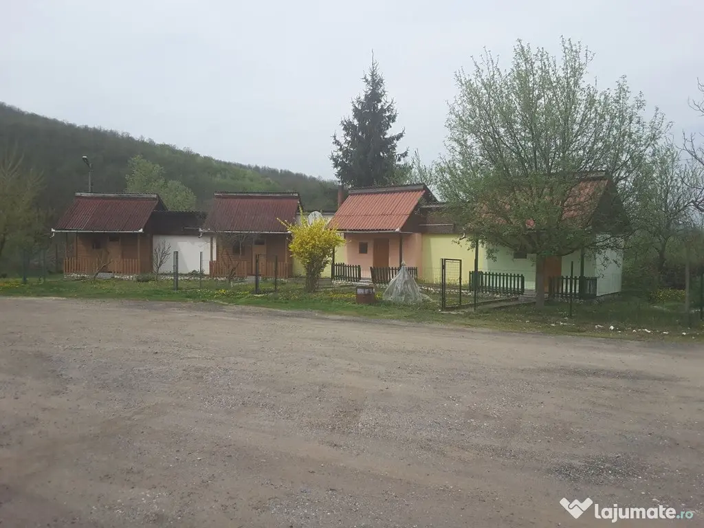 Pensiune in Petris - ID : RH-9711-property 