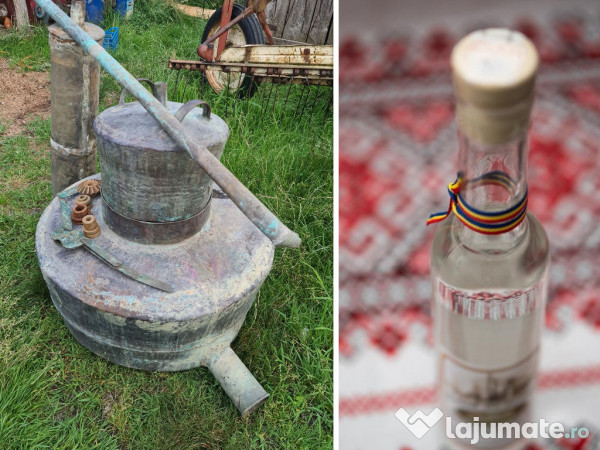 Horinca curata de mere 