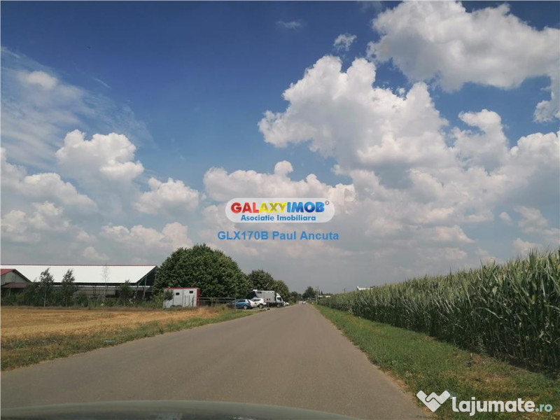 Teren Moara Vlasiei 40000 mp str Drumul Teilor Industrial ut 