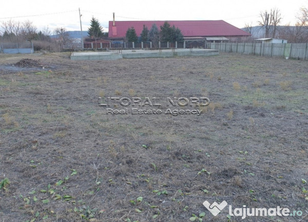 Crucea, teren 1.000mp,cu fundatie,proiect si autorizatie P+M 