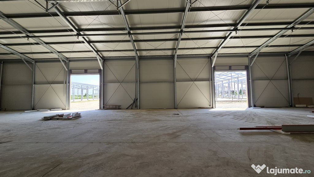 Hale noi in zona industriala Progresul, Jilava