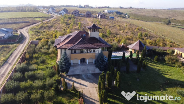 Proprietate Unică de Vânzare în Vișani, Iași – Reșed