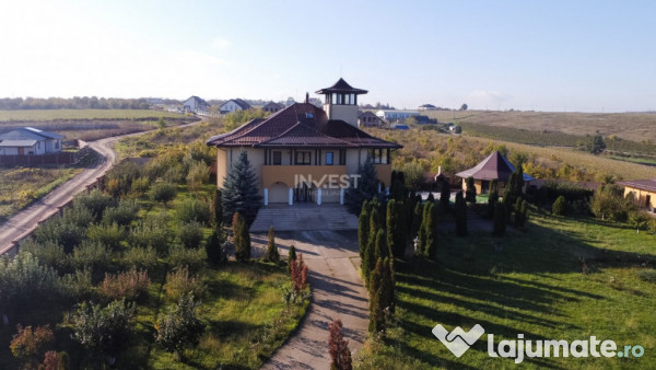 Proprietate Unică de Vânzare în Vișani, Iași – Reșed