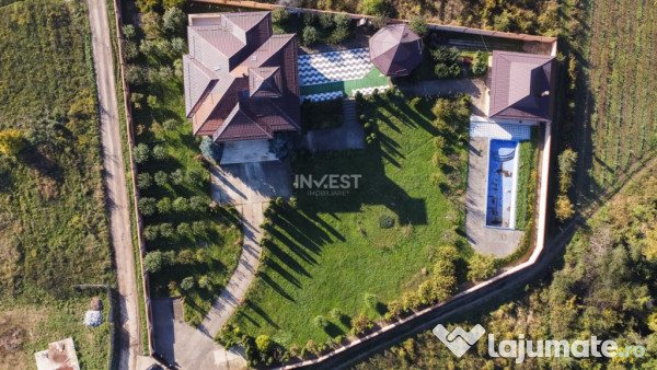 Proprietate Unică de Vânzare în Vișani, Iași – Reșed