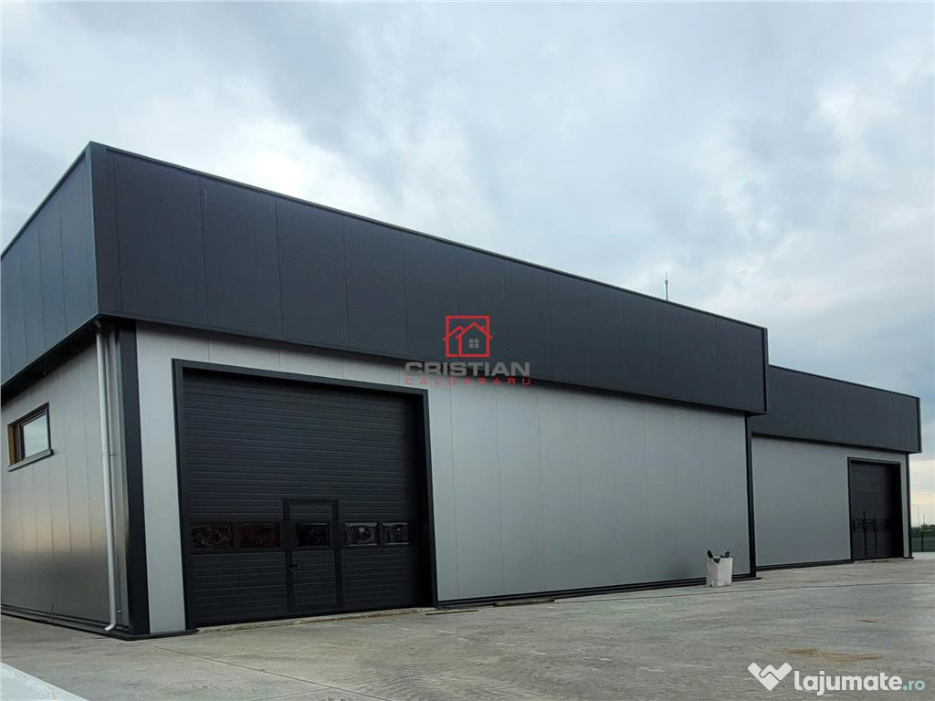 Depozit/hala/spatiu industrial Domnesti - Centura, Ilfov 