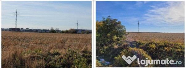 Teren intravilan 1 Decembrie, judetul Ilfov, ID: R2319723 