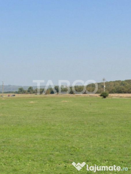 Teren 8696mp zona Calea Cisnadiei pentru investite de vanzar 