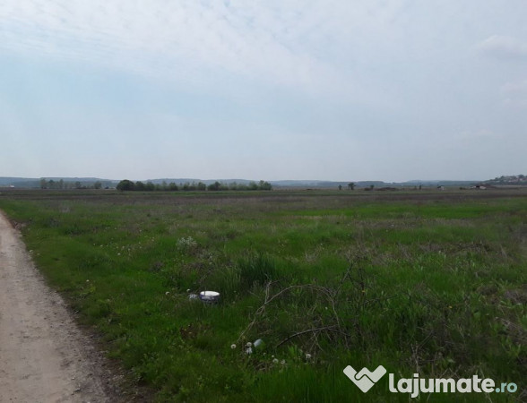 Teren extravilan, Cotofenii din Fata, jud Dolj -id 6954-0... 