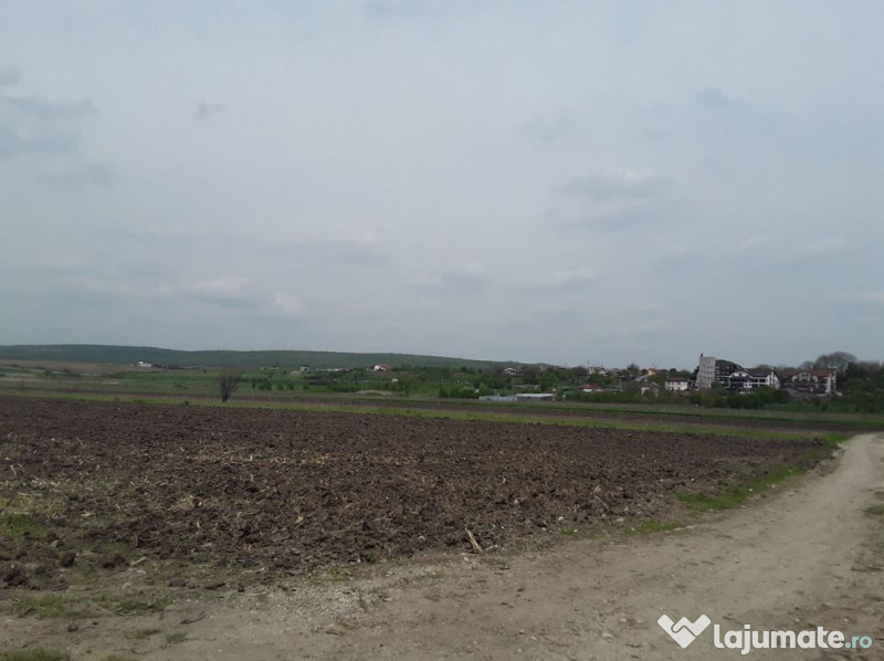 Teren extravilan, Cotofenii din Fata, jud Dolj -id 6954-0... 