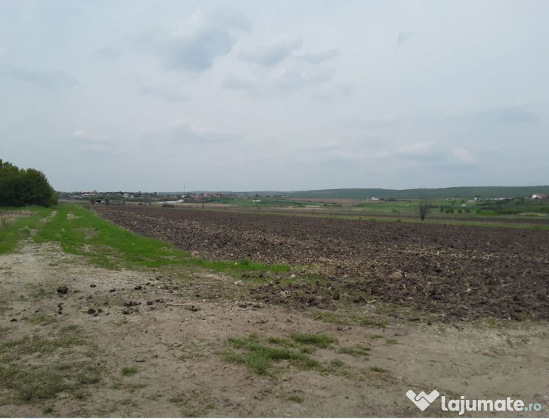 Teren extravilan, Cotofenii din Fata, jud Dolj -id 6954-0... 