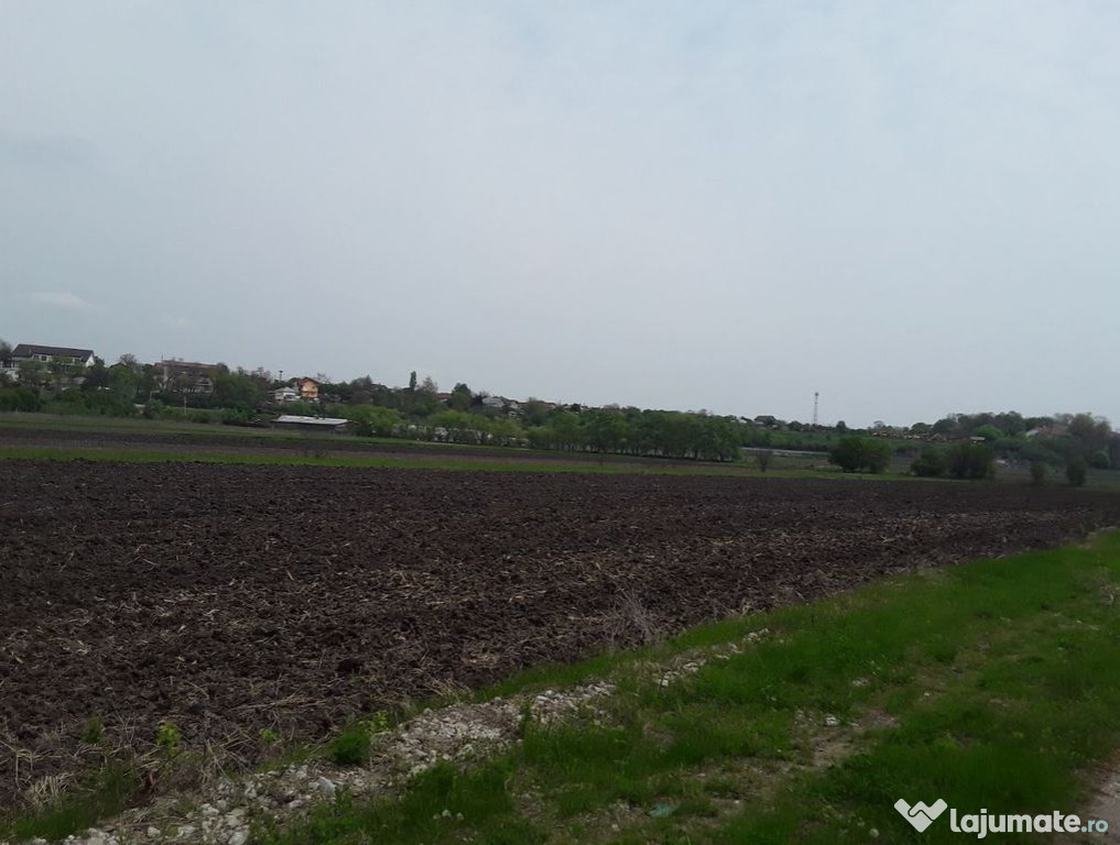 Teren extravilan, Cotofenii din Fata, jud Dolj -id 6954-0... 