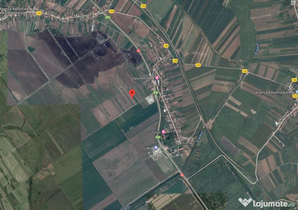 Teren extravilan, Cotofenii din Fata, jud Dolj -id 6954-0... 