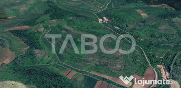 Teren extravilan de vanzare 10000 mp zona Gusterita 