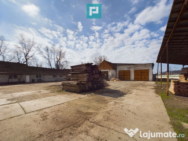 Fabrică de prelucrare a lemnului și palului 