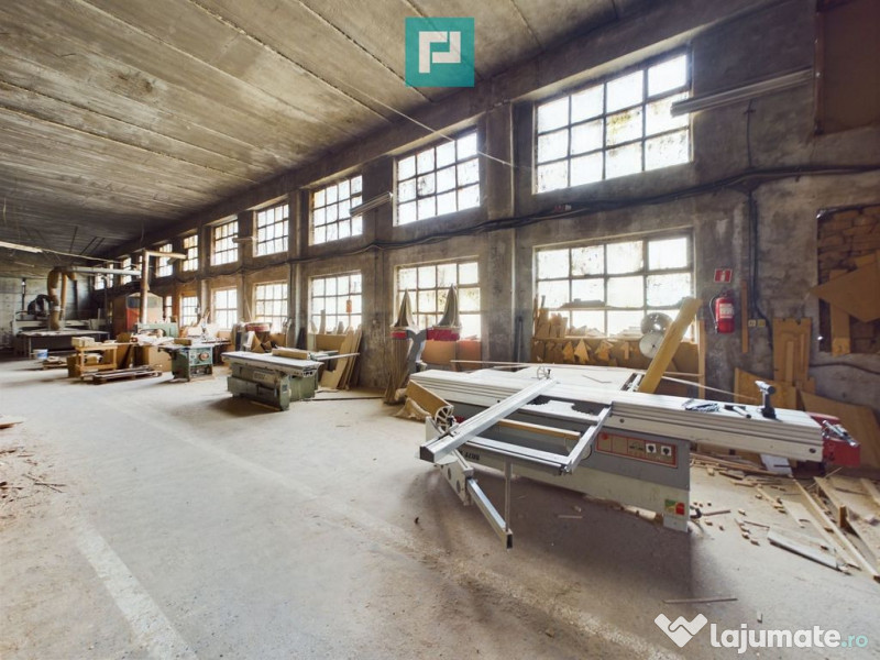 Fabrică de prelucrare a lemnului și palului 